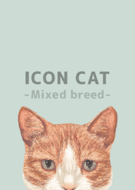 ICON CAT -Mixed breed cat- PASTEL GR/01