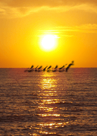 Healing sunset sun invites good luck !