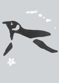 Star sky penguin