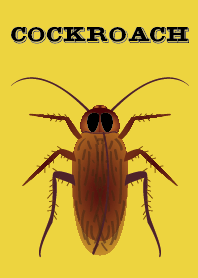 Horror Illustrated - Cockroaches