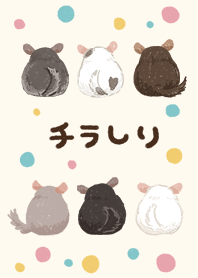 Cute back of the chinchilla