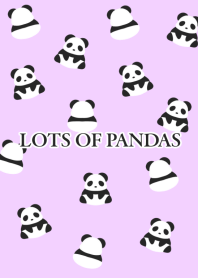 LOTS OF PANDASj-LIGHT PINK PURPLE