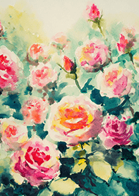 Beautiful rose flower(R4083)