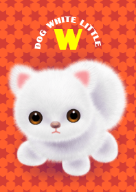 Dog white little