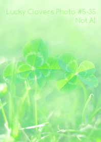 Lucky Clovers Photo#5-35Not AI