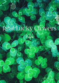 Real Lucky Clovers #24