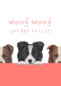 Woof Woof - Border Collie - WHITE/RED