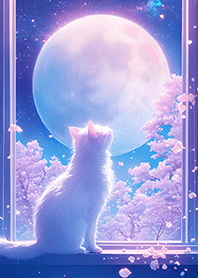 White cat, full moon & cherry blossomsJP