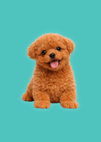 Plush Toy Poodle Green 10