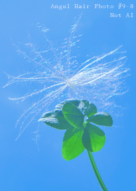 Angel Hair Photo#9-8Not AI