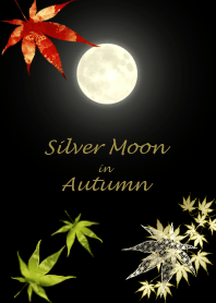 Silver Moon Autumn ver.