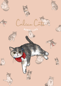 calicocats1 / peach