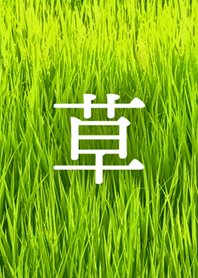 Green grass [jp]