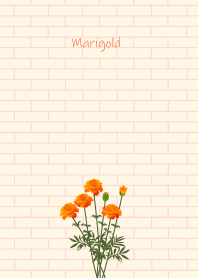 November's birth flower, Marigold