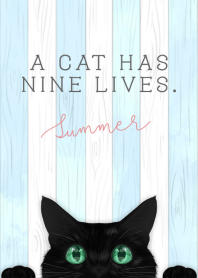 BLACK CAT -summer- #cool