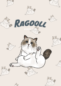ragdollcat1 / cream
