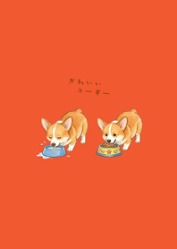 我養的可愛柯基犬(夕陽橘色)