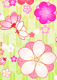 日本花紋花♪