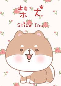 misty cat-Shiba Inu red rose 3