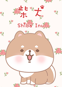 ชิบะอินุ ทารก ดอกกุหลาบ 3