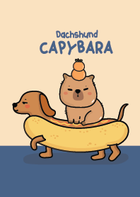 Capybara & Dachshund Cute!