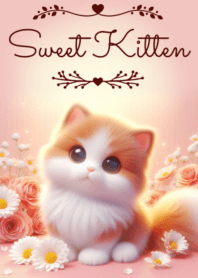 Sweet Kitten No.53