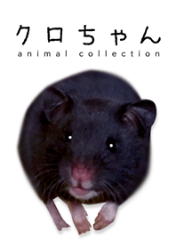 クロちゃん-animal collection-