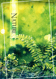 Ferns - Nature