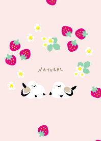 Long-tailed tit strawberry30 from Japan