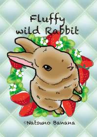 Fluffy wild rabbit