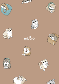 neko combo5 / mocha