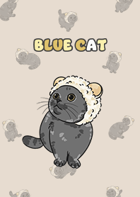 bluecat2 - almond