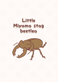 ミヤマクワガタくん