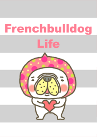 Frenchbulldog life 3