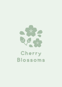 Cherry Blossoms7<Green>