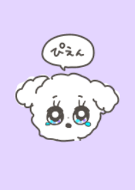 かわいい毎日トイプードル。ぴえん/紫