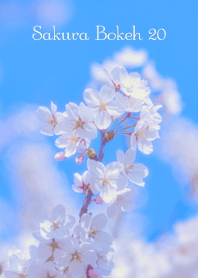 Sakura Bokeh 20