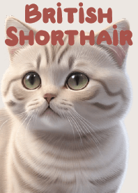 Charming Tabby Cat VOL.10