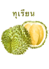 榴蓮　5