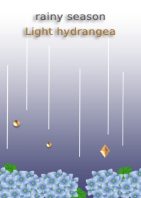 梅雨(淡色の紫陽花)