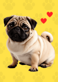 Fawn Pug Theme. Yellow 02