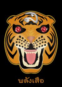 Strong of Tiger (Orange)