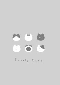 貓臉 :gray white