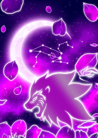 Purple Sakura Leo