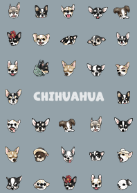 chihuahua2 / dusty blue