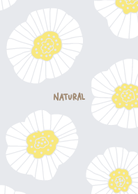 Simple white flowers adult23 from Japan