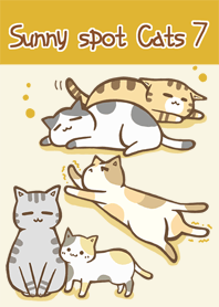 sunny spot cats No.7