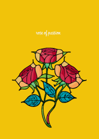 rose of passion on yellow