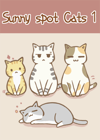 陽光下的貓 1