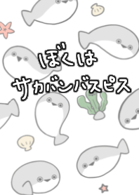 ぼくはサカバンバスピス[海]